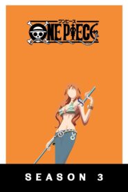 One Piece: Season 3