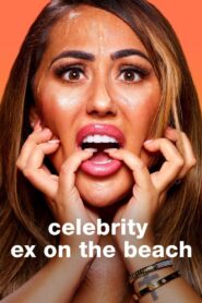 Celebrity Ex on the Beach: Season 1