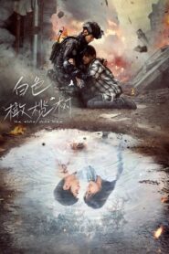 白色橄榄树: Season 1