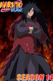 Naruto Shippuden: Season 14