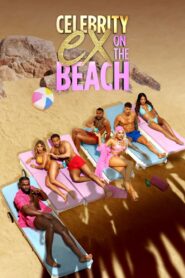 Celebrity Ex on the Beach: Season 2
