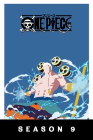 One Piece: Season 9