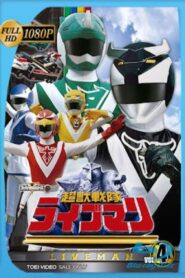 超獣戦隊ライブマン: Season 1