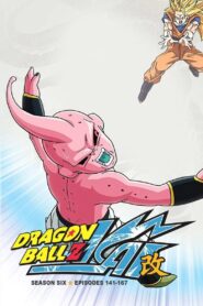 ドラゴンボール改「カイ」: Season 6