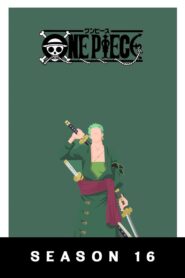 One Piece: Season 16