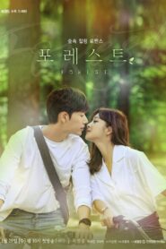 포레스트: Season 1