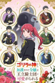 ゴリラの神から加護された令嬢は王立騎士団で可愛がられる
