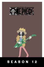 One Piece: Season 12
