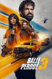 Balle perdue 3